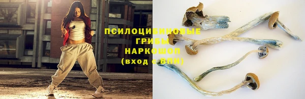 a pvp Богородск