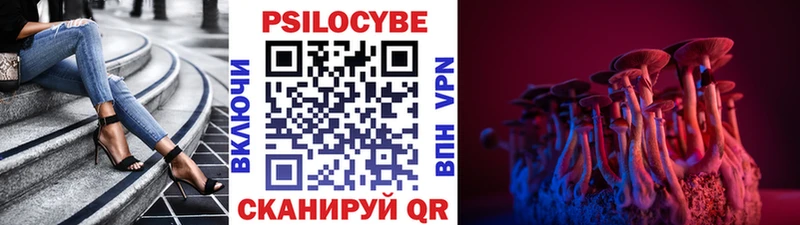 где можно купить   Навашино  Галлюциногенные грибы MAGIC MUSHROOMS 